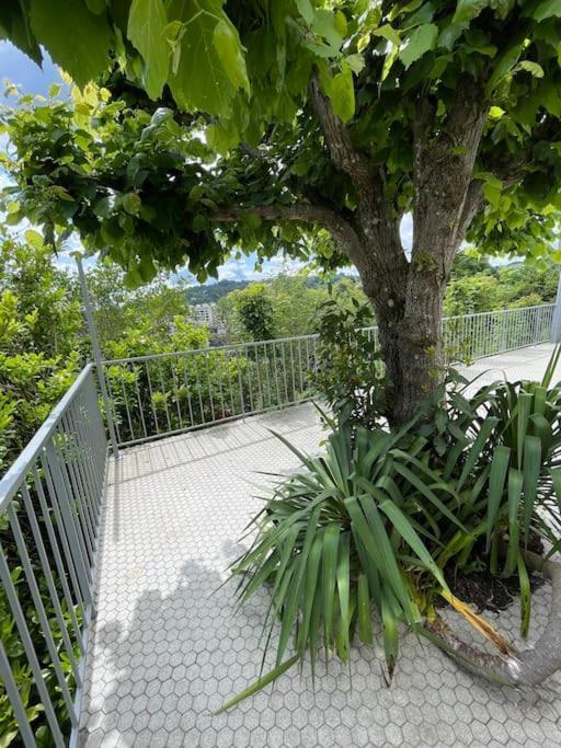 Paisible Eden Standing Terrasse - Magnifique Vue - Esprit Nature En Pleine Ville ทูล ภายนอก รูปภาพ